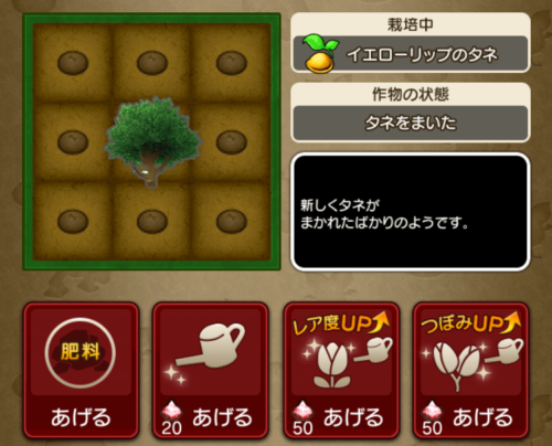 ドラクエ10畑とタネとお花の仕組み